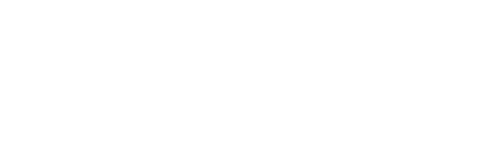 Logo MT VIP DRIVER - VTC Privé